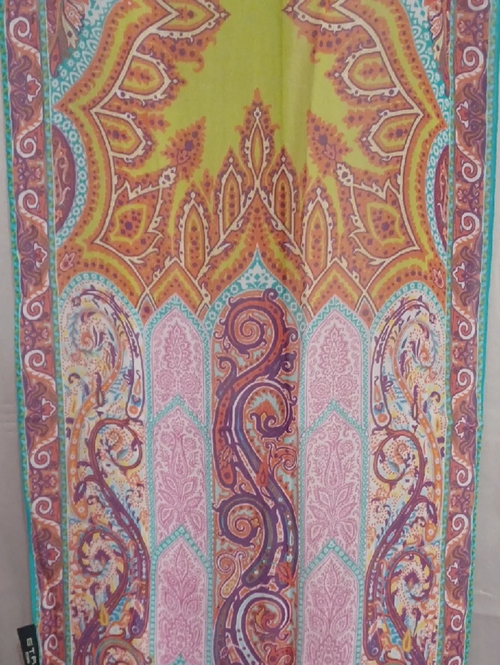 Etro Silk Ornate Paisley Scarf Shawl Wrap Fringe Italy Boho Luxe 50×15 Inches
